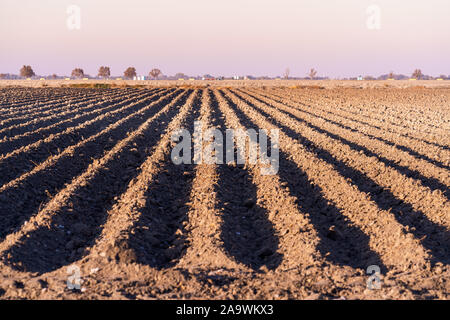 Terrain labouré et préparé pour la plantation de cultures ; droit de sillons visibles sous le coucher du soleil la lumière ; Merced County, Californie centrale Banque D'Images