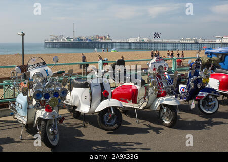 Brighton, Angleterre - 24 août 2019 : scooters sur l'affichage le long de la promenade à la plage de Brighton dans l'East Sussex, Angleterre pour 'Mod' Week-end Banque D'Images