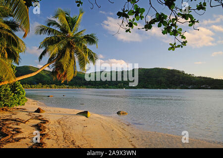 Sonnenuntergang am Sandstrand an der Anse à la Mouche mit Palmen und Granitfelsen, Takamakabäumen, Mahe, Seychellen Banque D'Images