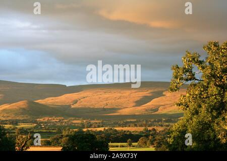 Soirée d'été. Eden Valley, Cumbria Banque D'Images