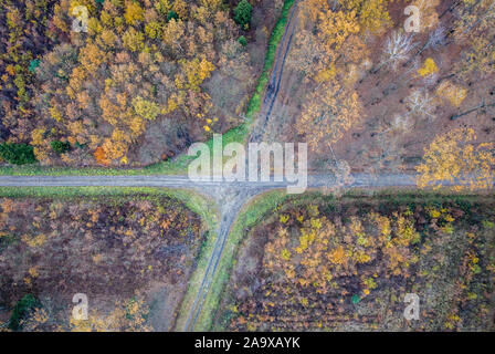 Vue aérienne sur les routes forestières dans une réserve naturelle en Wiaczyn Nowosolna County en voïvodie de Lodz Pologne Banque D'Images