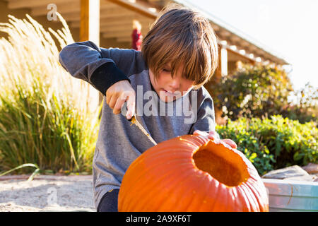 Un garçon de six ans, une sculpture de citrouille à l'Halloween. Banque D'Images