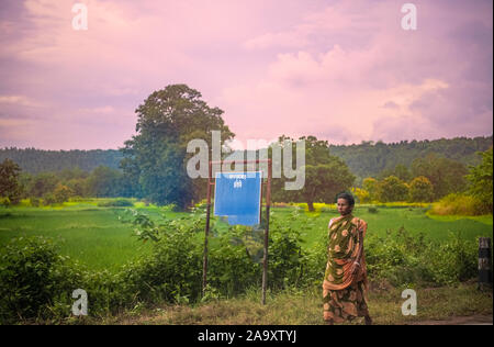 Paysage Kankra( hill) Jhor(forest),verdure,Rolling hills,denses,,jaune,vert,,rizières,ventre,de,mère,Nature,Jhargram, Bengale occidental, Inde. Banque D'Images