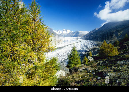 Schweiz - Wallis - Aletsch Gletscher Banque D'Images
