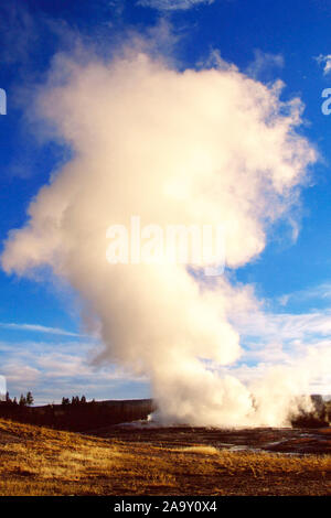 Geyser Old Faithful Geyser bricht aus ; Old Faithful éclate ; NP Yellowstone, Wyoming, USA Banque D'Images