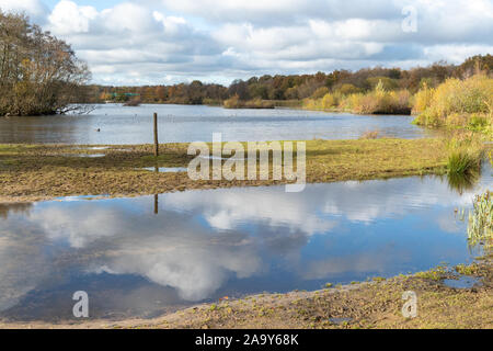 Voir l'étang de la flotte dans le Hampshire, au Royaume-Uni, au cours de l'automne Banque D'Images