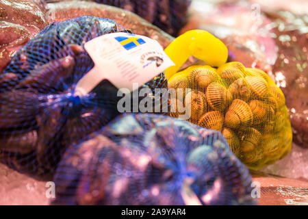 Différents types de poissons et fruits de mer vu du marché aux poissons hall.Feskekorka est un marché de fruits de mer dans le centre de Göteborg. Bâtiment néo-gothique du poisson est l'une des principales attractions touristiques de la ville. Banque D'Images