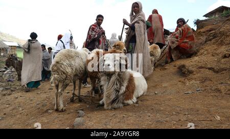 Les gens se rassemblent avec leur bétail au marché près de Lalibela dans les hautes terres de l'Éthiopie Banque D'Images