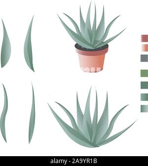 L'Aloe Vera isolé sur blanc photo-réalistes vector Illustration de Vecteur