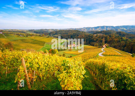 Célèbre route des vins en forme de coeur à l'automne, vue de Spicnik près de Maribor en Slovénie. Banque D'Images