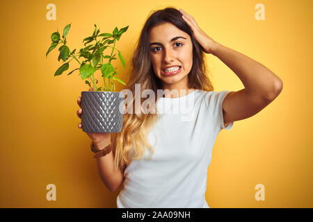 Young Beautiful woman holding pot de basilic sur jaune fond isolé a souligné avec la main sur la tête, choqué par la honte et la surprise face, en colère et fr Banque D'Images