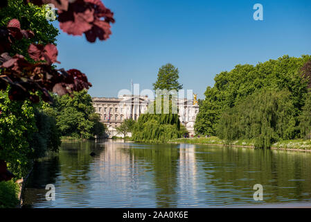 La résidence de la Reine d'Angleterre Buckingham Palace à l'extérieur du parc St James en été, étang et arbres verts en premier plan, une journée ensoleillée et claire Banque D'Images