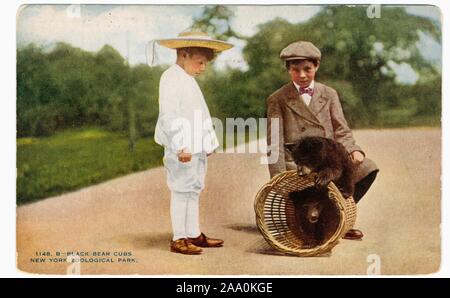 Carte postale illustrée de deux jeunes garçons jouant avec deux oursons noirs au New York City Zoological Park, maintenant connu sous le nom de zoo du Bronx, New York City, publié par New York Zoological Society, 1914. À partir de la Bibliothèque publique de New York. () Banque D'Images