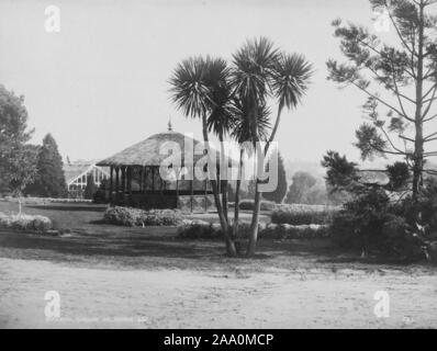 Paysage noir et blanc photographie d'un pavillon avec un toit de chaume et quelques palmiers au premier plan dans les Royal Botanic Gardens Victoria à Melbourne, en Australie, par le photographe Frank Coxhead, 1885. À partir de la Bibliothèque publique de New York. () Banque D'Images