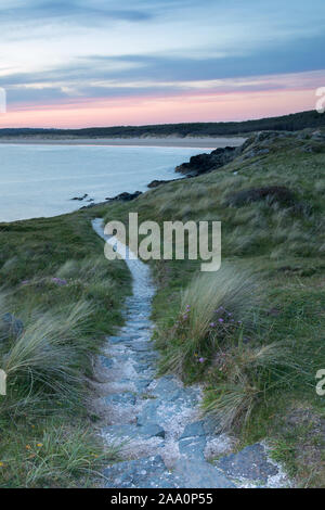 Chemin de Shell sur l'île Llanddwyn, Anglesey, au nord du Pays de Galles Banque D'Images