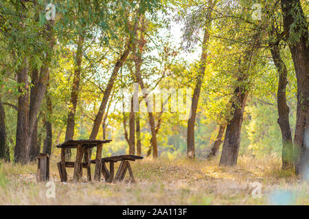 Une table et deux bancs d'un journal brut maison. Espace de détente et de loisirs dans la forêt. Banque D'Images