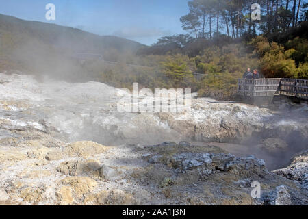 Paysage géothermique au wai-O-Tapu Thermal Wonderland Banque D'Images
