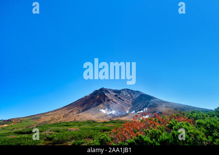 Mt. Asahi, feuillage de l'automne Banque D'Images