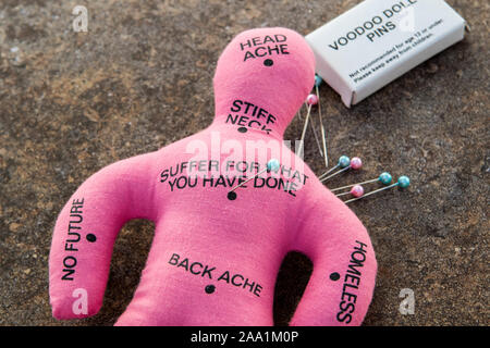 Avec une poupée Voodoo rose books de broches ou aiguilles vaudou Banque D'Images