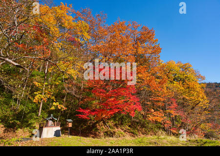 Tomuraushi Onsen, feuillage de l'automne Banque D'Images