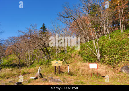 Tomuraushi Onsen, feuillage de l'automne Banque D'Images