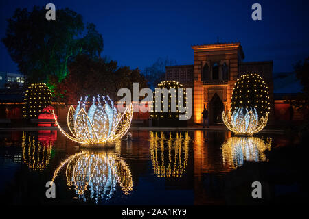 Stuttgart, Allemagne. 18 Nov, 2019. Beaucoup d'éclairage de Noël brille dans le jardin de Noël à Wilhelma. Le spectacle de lumière peut encore être vu à Wilhelma jusqu'au 6 janvier 2020. Crédit : Tom Weller/dpa/Alamy Live News Banque D'Images