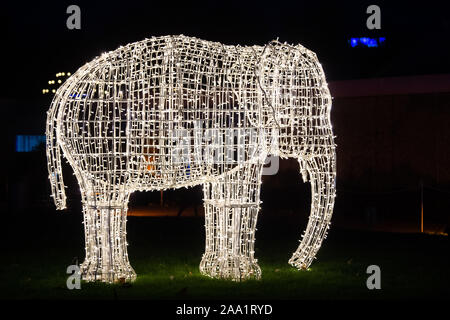 Stuttgart, Allemagne. 18 Nov, 2019. Le modèle d'un éléphant avec des chaînes lumineuses des feux est de Wilhelma. Beaucoup d'éclairage de Noël brille dans le jardin de Noël à Wilhelma. Le spectacle de lumière peut encore être vu à Wilhelma jusqu'au 6 janvier 2020. Crédit : Tom Weller/dpa/Alamy Live News Banque D'Images