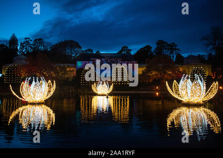 Stuttgart, Allemagne. 18 Nov, 2019. Beaucoup d'éclairage de Noël brille dans le jardin de Noël à Wilhelma. Le spectacle de lumière peut encore être vu à Wilhelma jusqu'au 6 janvier 2020. Crédit : Tom Weller/dpa/Alamy Live News Banque D'Images