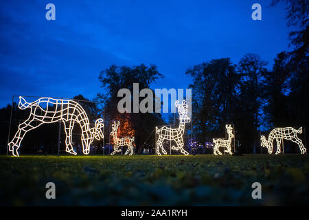 Stuttgart, Allemagne. 18 Nov, 2019. Beaucoup d'éclairage de Noël brille dans le jardin de Noël à Wilhelma. Le spectacle de lumière peut encore être vu à Wilhelma jusqu'au 6 janvier 2020. Crédit : Tom Weller/dpa/Alamy Live News Banque D'Images
