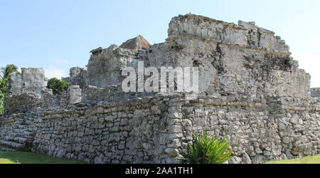 Ruines mayas de la ville de Tulum, près de Cancun, Mexique, en l'état de Quintana Roo rempli d'histoire, les bâtiments en pierre calcaire, la végétation et la faune Banque D'Images