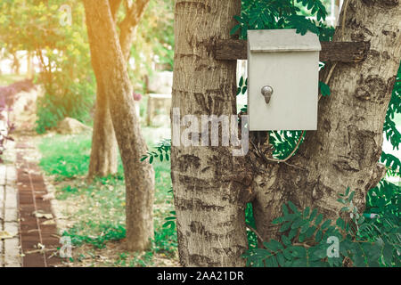 Le contrôle de l'alimentation électrique Old rusty fort sur l'arbre dans le parc public. Banque D'Images