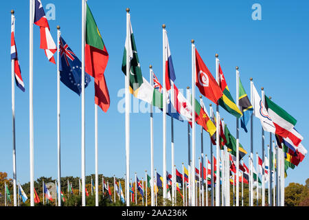 Les drapeaux de nombreux États flottent sur les mâts de drapeaux. Banque D'Images