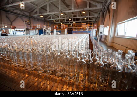 Glassworks. L'industrie du verre. Beaucoup de bouteilles en verre sur un convoyeur de l'usine. Banque D'Images