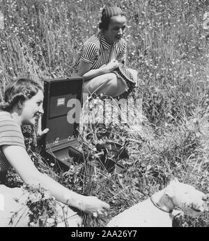 Vie de l'été 1940. Deux jeunes femmes avec un gramophone portable player sur une journée d'été. C'est exploité par l'enroulant jusqu'à l'aide d'un levier. L'enregistrer puis de théâtre. Lorsque vous entendez que l'enregistrement commence à ralentir, vous savez que vous devez de nouveau je vent. Les enregistrements étaient faits de matériaux fragiles et la vitesse de l'enregistrement sonore qu'il devrait l'était de 78 tours par minute. La Suède des années 40. Banque D'Images