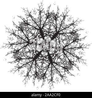 Crooked Tree Grunge branches sans feuilles rondes silhouettes en ornement. Illustration de Vecteur