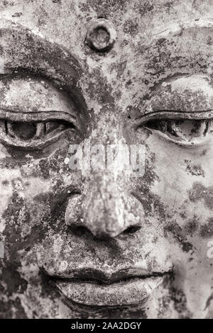 Tête de Bouddha en pierre statue close-up Banque D'Images