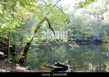Bolu Yedi Goller belle photo. Lac, hors-bord, bois. Banque D'Images