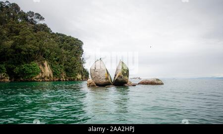 Bois de roche, de Split Rock Apple, Abel Tasman National Park, région de Tasman, Southland, Nouvelle-Zélande Banque D'Images