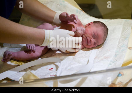 Moments de fille de bébé après une césarienne. ©Marcin Rozpedowski/Alamy Stock Photo Banque D'Images