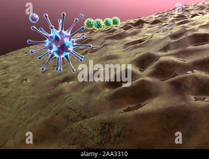 Phagocytes tue les virus, à l'intérieur du corps humain, des graphiques 3D, lymphocyte, lymphocytes, macrophages, lymphocytes contre les virus tue les virus Banque D'Images