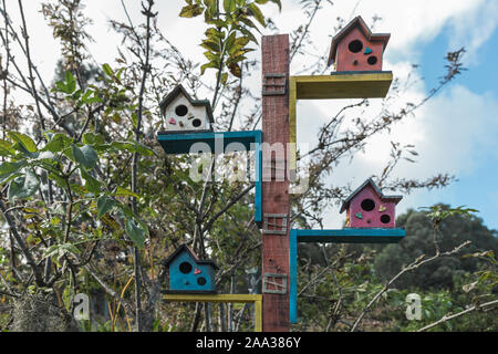 Les cabanes colorées dans le jardin avec des arbres en arrière-plan Banque D'Images