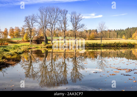 Paysage d'automne avec des arbres traduit symétriquement dans un lac. Ciel bleu et nuages de lumière. Les feuilles tombées sur le niveau d'eau. Banque D'Images
