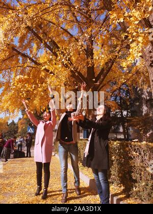 Beijing, Chine. Nov 8, 2019. Photo Mobile montre les personnes bénéficiant de décor de l'automne à l'Université Tsinghua à Beijing, capitale de Chine, le 8 novembre 2019. Credit : Ni Yuanjin/Xinhua/Alamy Live News Banque D'Images