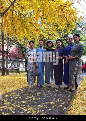 Beijing, Chine. 10 Nov, 2019. Photo Mobile montre aux gens de prendre des photos au Palace Museum à Pékin, capitale de la Chine, le 10 novembre 2019. Credit : Ding Hongfa/Xinhua/Alamy Live News Banque D'Images