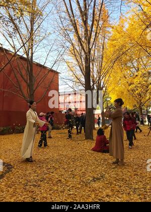 Beijing, Chine. 10 Nov, 2019. Photo Mobile montre aux gens de prendre des photos au Palace Museum à Pékin, capitale de la Chine, le 10 novembre 2019. Credit : Ding Hongfa/Xinhua/Alamy Live News Banque D'Images