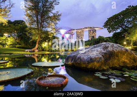 Vue imprenable sur les jardins de la baie avec l'Supertree Grove avec l'eau étang au premier plan. Banque D'Images