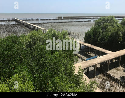 Une protection contre l'érosion des sols - Les rangées de bâtons de bambou sur mer vague pour briser des barrières, de Samut Sakhon, Thaïlande. Banque D'Images