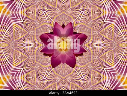 Fleur de Lotus Mandala Banque D'Images