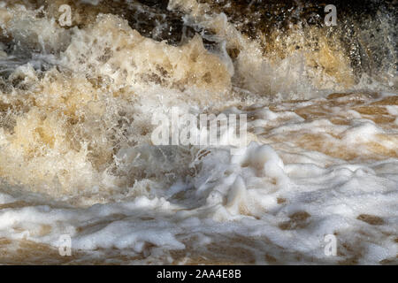 À la rivière Ribble Stainforth vigueur dans les inondations, près de l'eau. North Yorkshire, UK. Banque D'Images