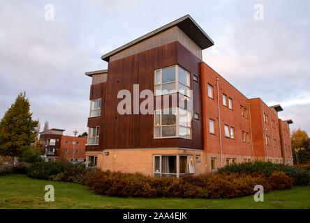 Matin d'automne au Sutton Bonington Campus de l'Université de Nottingham, Loughborough Leicestershire Angleterre UK Banque D'Images